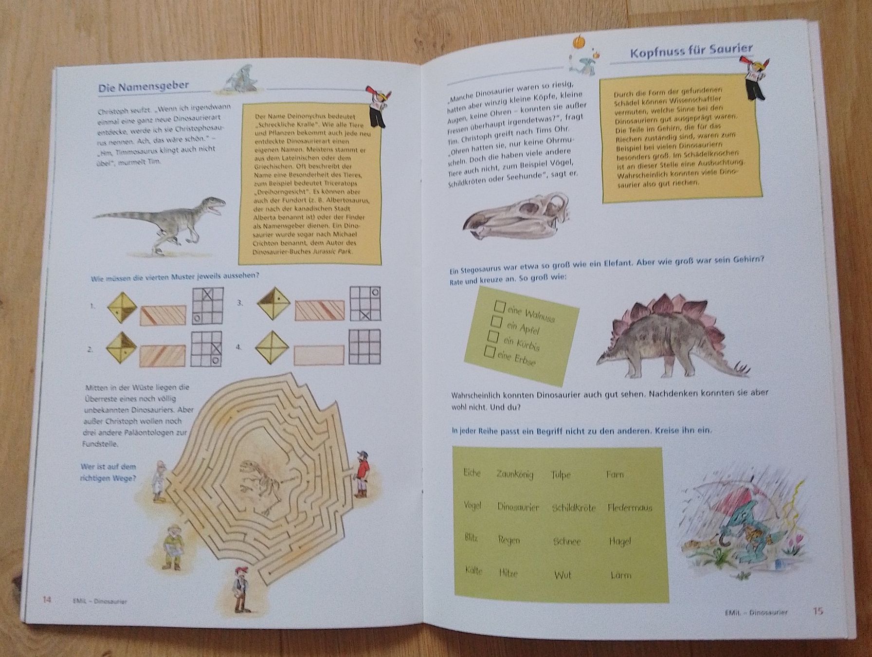 Libri: Buch Emil Ein Sach- und Mitmachbuch Dinosaurier – Usato da Wohlen AG venduto da salamanderspielwaren 2