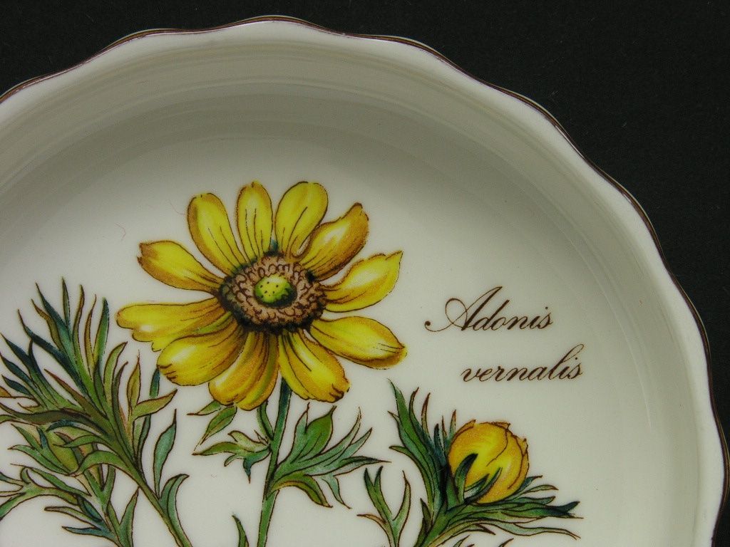 Kleine feuerfeste Form * BOTANICA * von Villeroy & Boch (Neu (gemäss Beschreibung)) in Zürich für CHF 13 – mit Lieferung auf Ricardo kaufen