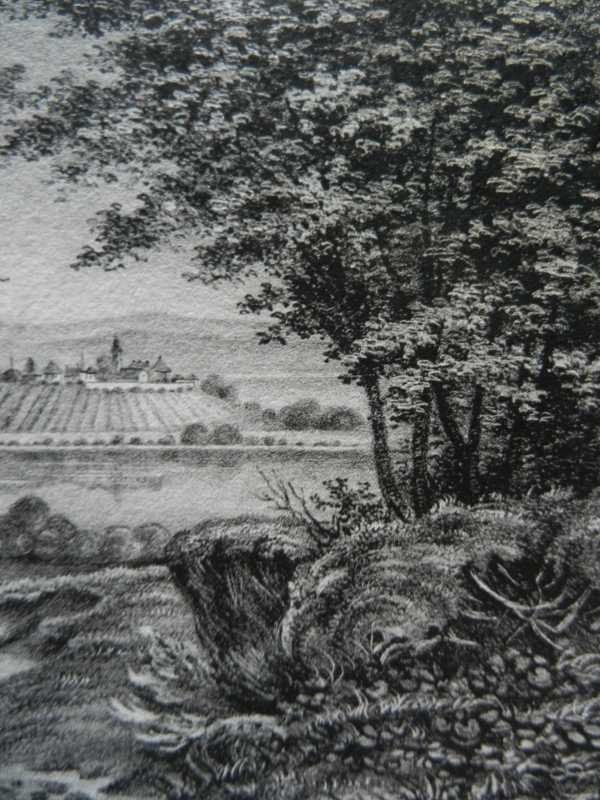 Incisioni: Insel Mainau Bodensee selten – Usato da Risch venduto da Rischli15 6