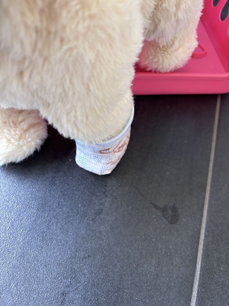 Giocattoli: Little Live Pet Ouchie Hund – Usato da Uster venduto da bat_f22x 2