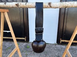 schöne Varrone Premana Nr. 11 Stahlschelle