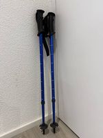 Kinder Teleskopskistöcke