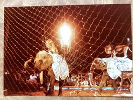 Circus Knie Foto 1980