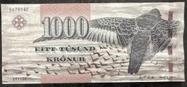 Island 1000 Kronur Banknote, Top Zustand, Rarität!