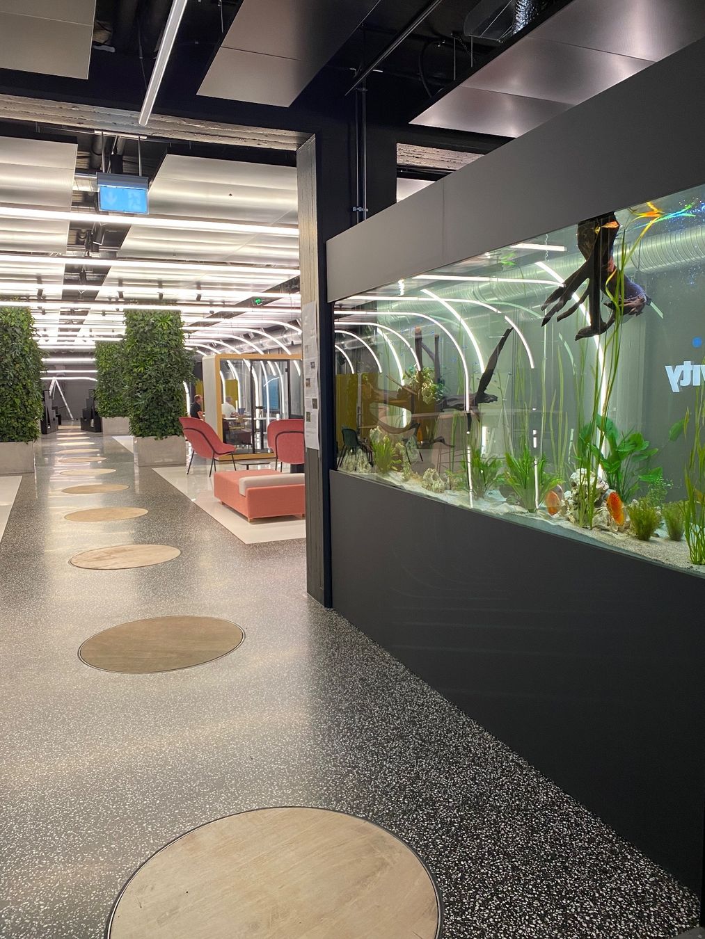 Acquari: Vor-Ort-Verklebung Aquarium – Nuovo (secondo la descrizione) da Berikon venduto da fischundart