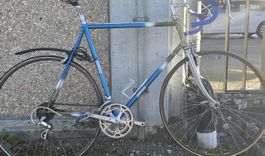 Zingg Rennrad gebraucht blau Grösse ca. 56 cm