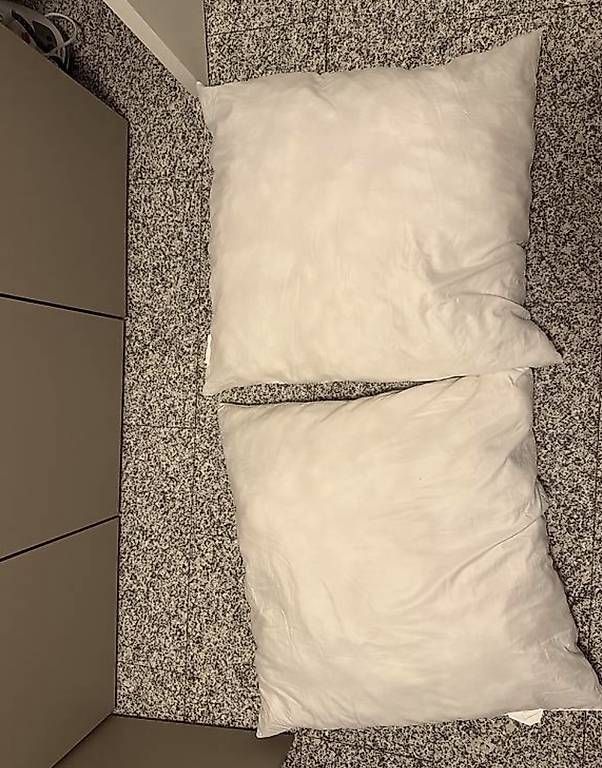 Coussins: Two Pillows – D'occasion à Kilchberg ZH par mar_hhk7