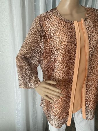 perfekter Auftritt - spezielles Blusen-Twinset, apricot, L