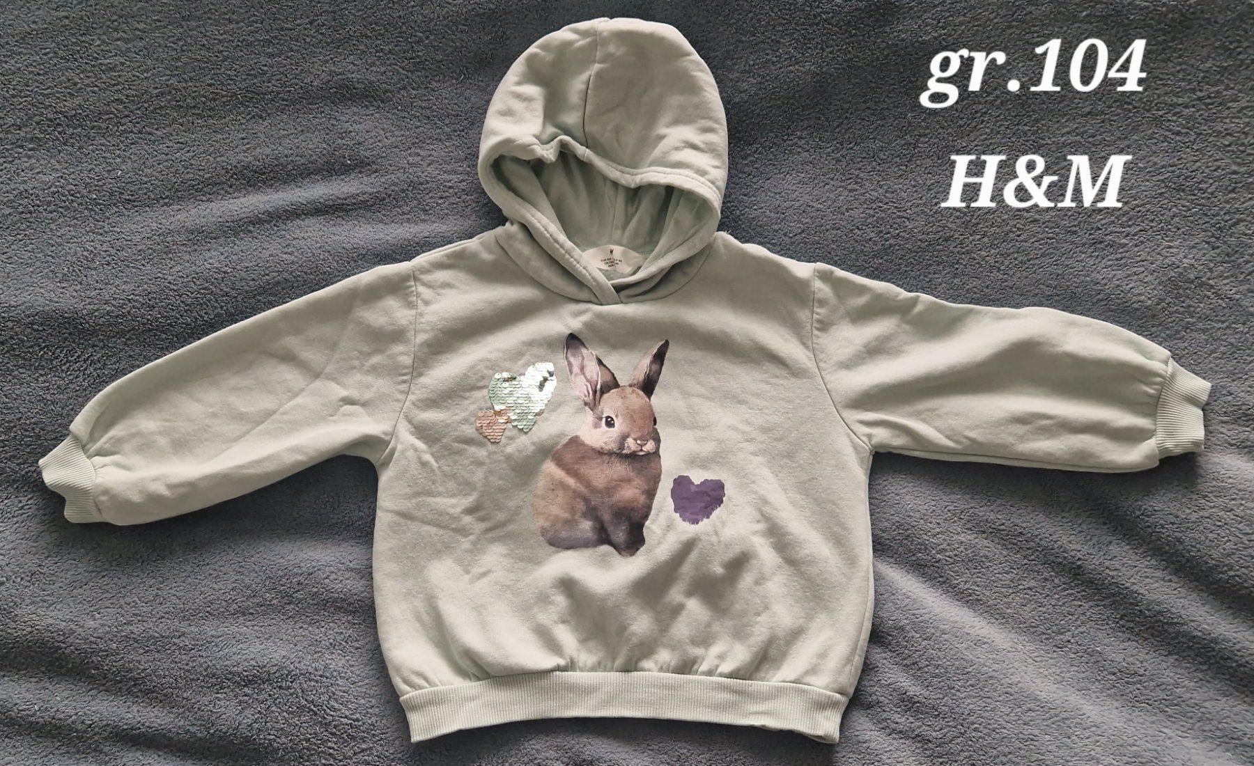 H&M Pullover & Sweatshirts: Pullover mit Kapuze grösse 104 Hase – Gebraucht aus Heimberg von Eleanor20
