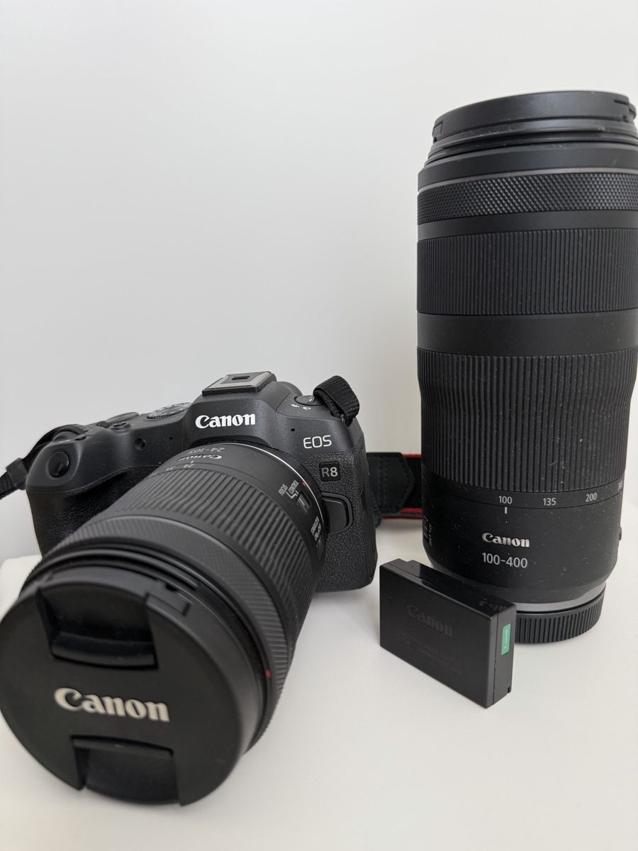 Canon Fotocamera: Canon EOS R8 Body – Nuovo (secondo la descrizione) da Zürich venduto da pac_qxb7