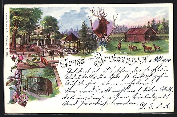 Cartes postales: AK Winterthur, Wildpark Bruderhaus, 1900 – D'occasion à Berlin par bartko-reher