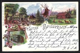 AK Winterthur, Wildpark Bruderhaus, 1900