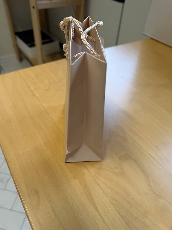 Alle Dekorationen: Sacchetti regalo 16x13x5,5 cm – Gebraucht aus Lugano von club.888 1