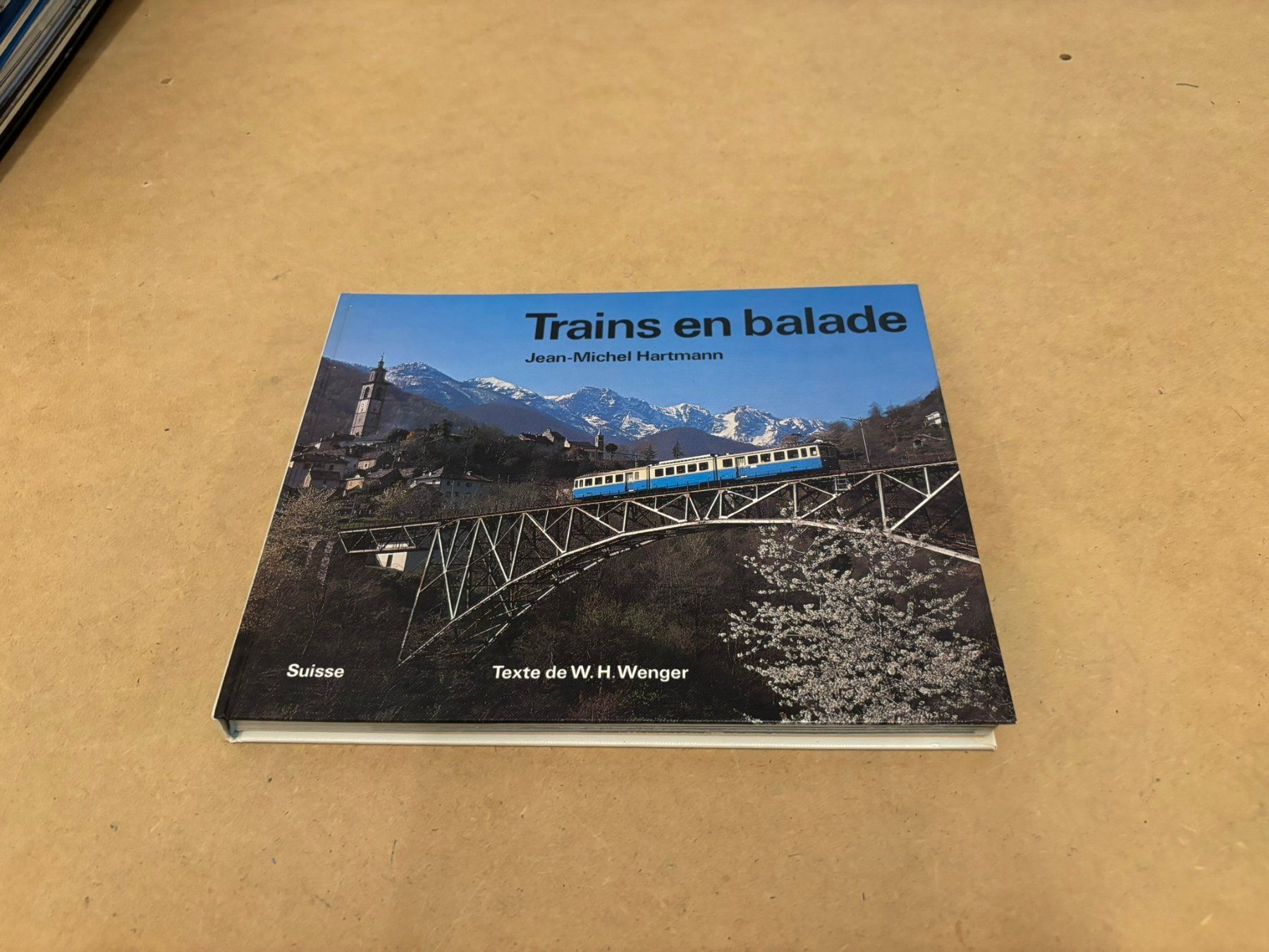 Libri: Livre Trains en balade – Usato da St-Blaise venduto da Rjc