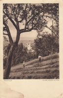 Pratteln  BL    -    Heuernte      um 1932