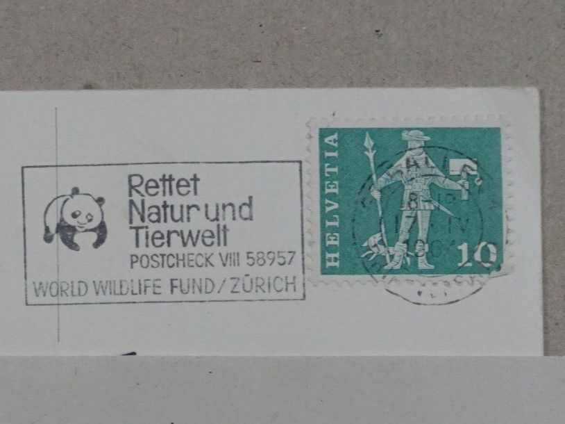 Cartes postales: St. Gallen, Café Pfund, 1964, Auto, Oldtimer – D'occasion à Lenzburg par fh1 1