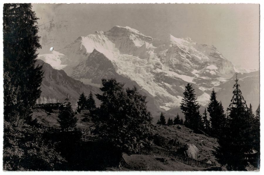 Cartoline postali: Bei Wengen, Jungfrau – Usato da Frauenfeld venduto da POML
