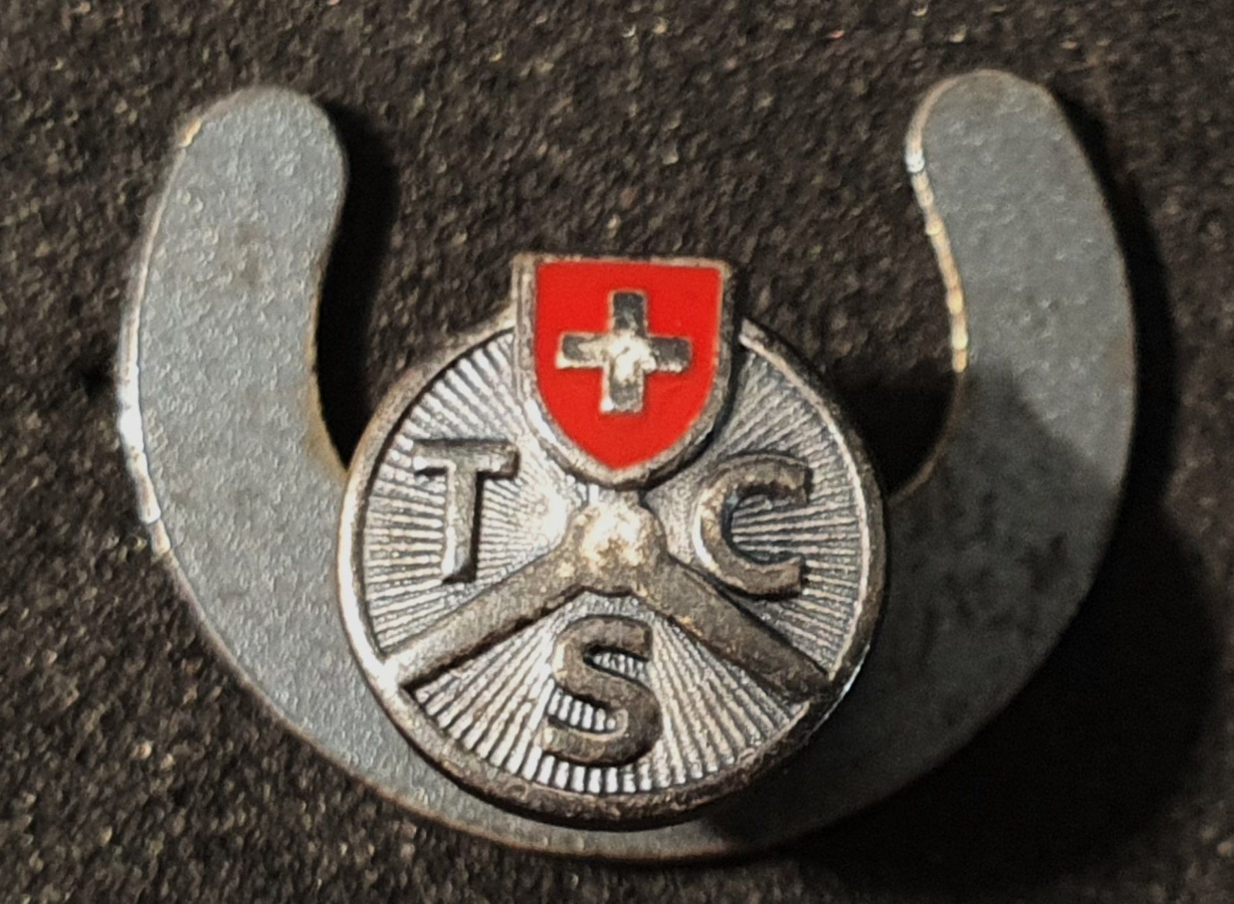 TCS Plaquettes & Badges: GG148 - Alter Reversknopf  TCS – D'occasion à Reinach BL par Boston-Verkauf