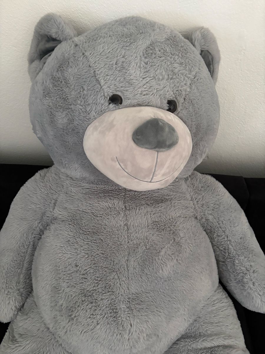 Manor Spielzeuge: riesen Teddybär – Neu (gemäss Beschreibung) aus Menziken von jul.kl 1