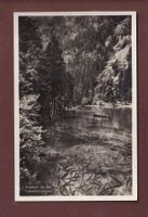 BLAUSEE an der Lötschbergroute - 1942