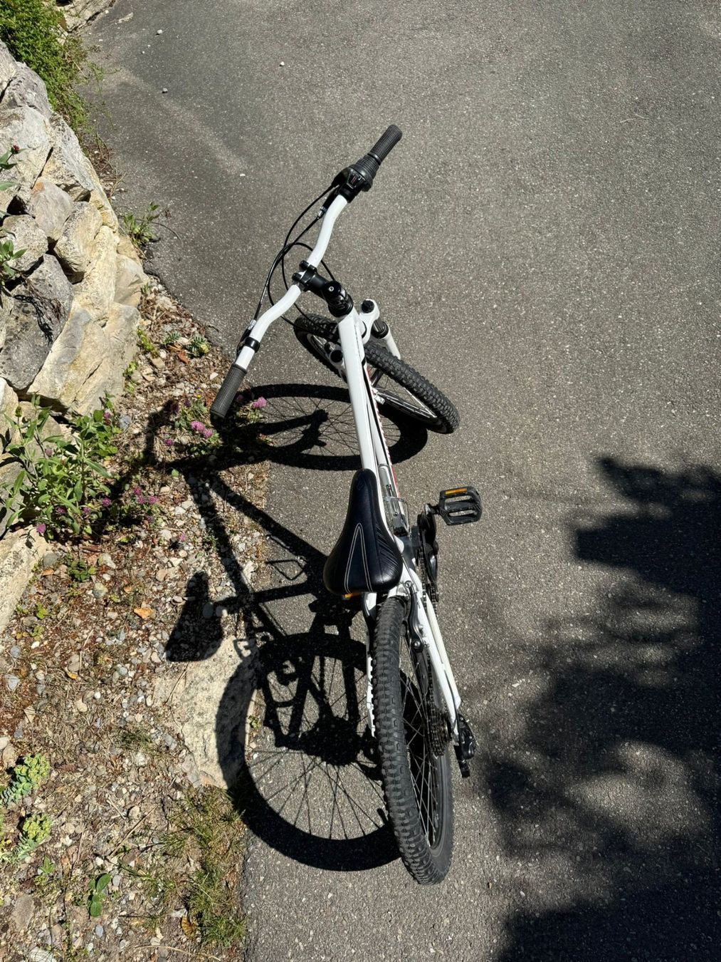 Specialized Biciclette: Specialized HOTROCK mit 20 Zoll Rädern – Usato da Baden venduto da okne 1
