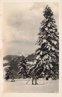 Hiver en suisse Skifahrer