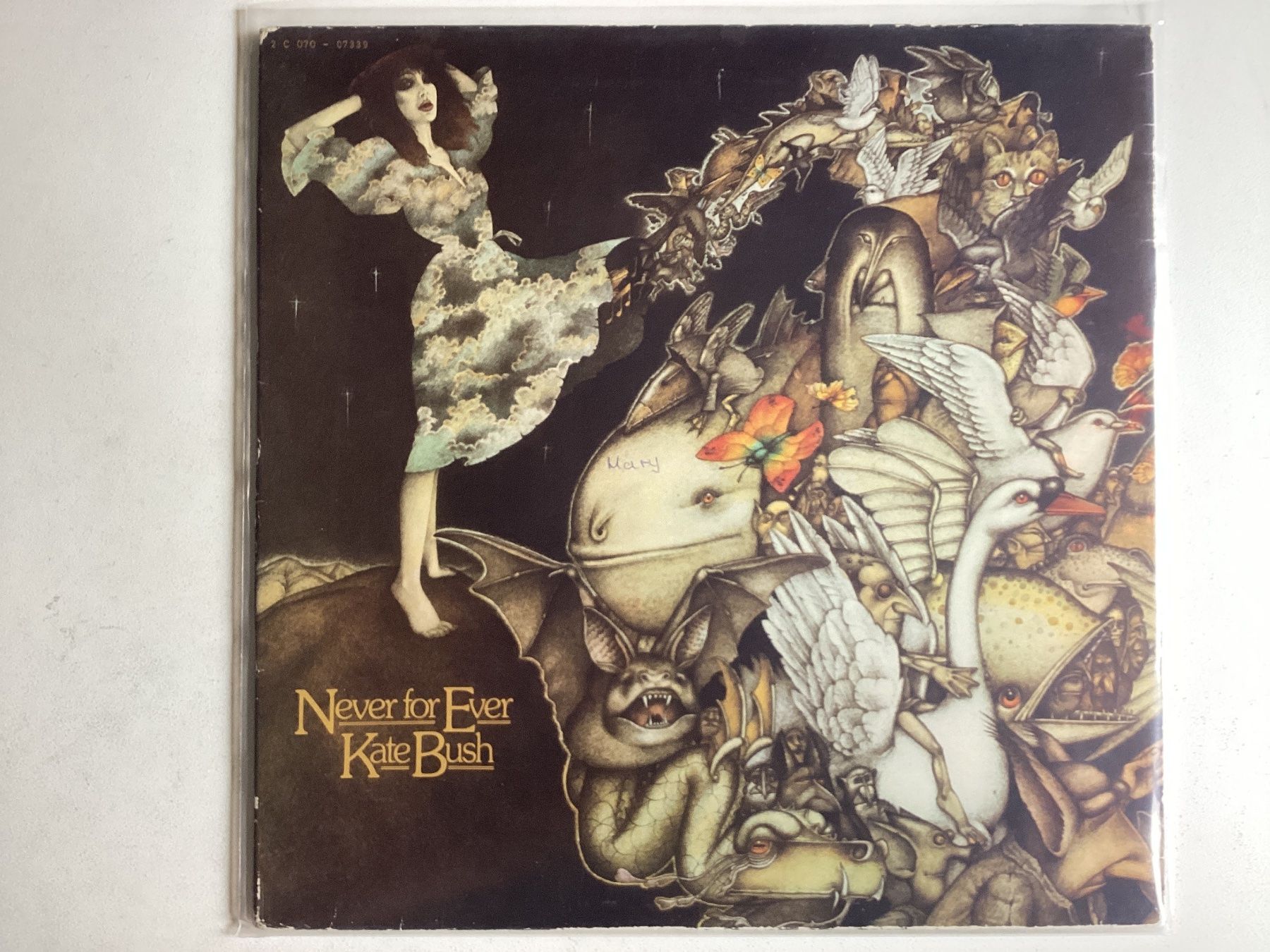 Dischi in vinile: Kate Bush LP - Never For Ever – Usato da Gutenswil venduto da Hamzian
