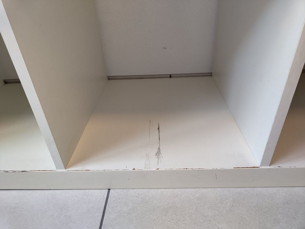 Tenda Doccia Tartaruga Marina 182x182 Cm: Tessuto Poliestere Impermeabile Con Stampa 3D E 12 Ganci - Decorazione Bagno Originale