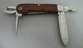 Elsner 52