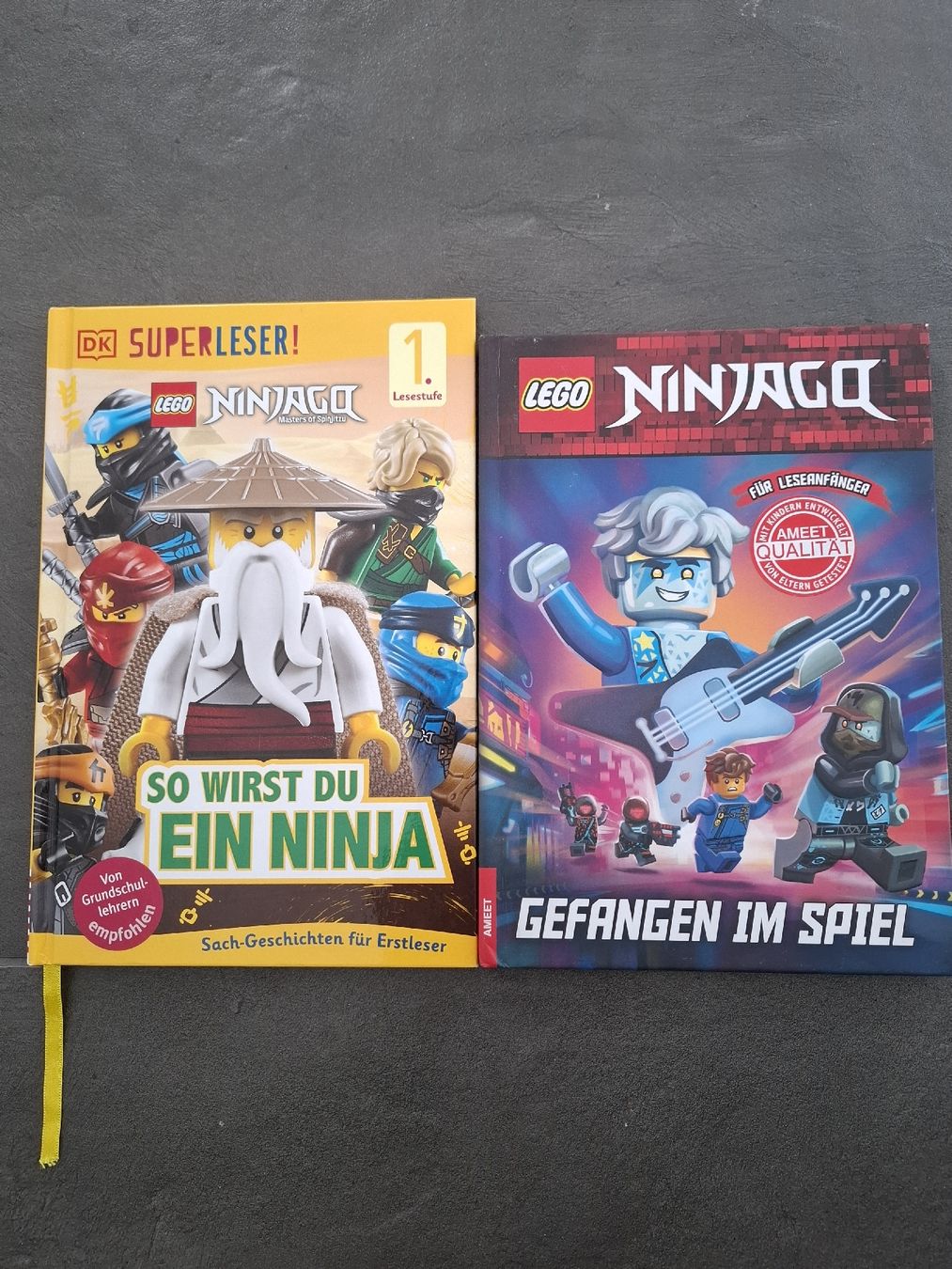Libri: Ninjago Bücher 2 Stück – Usato da Nänikon venduto da Graceful