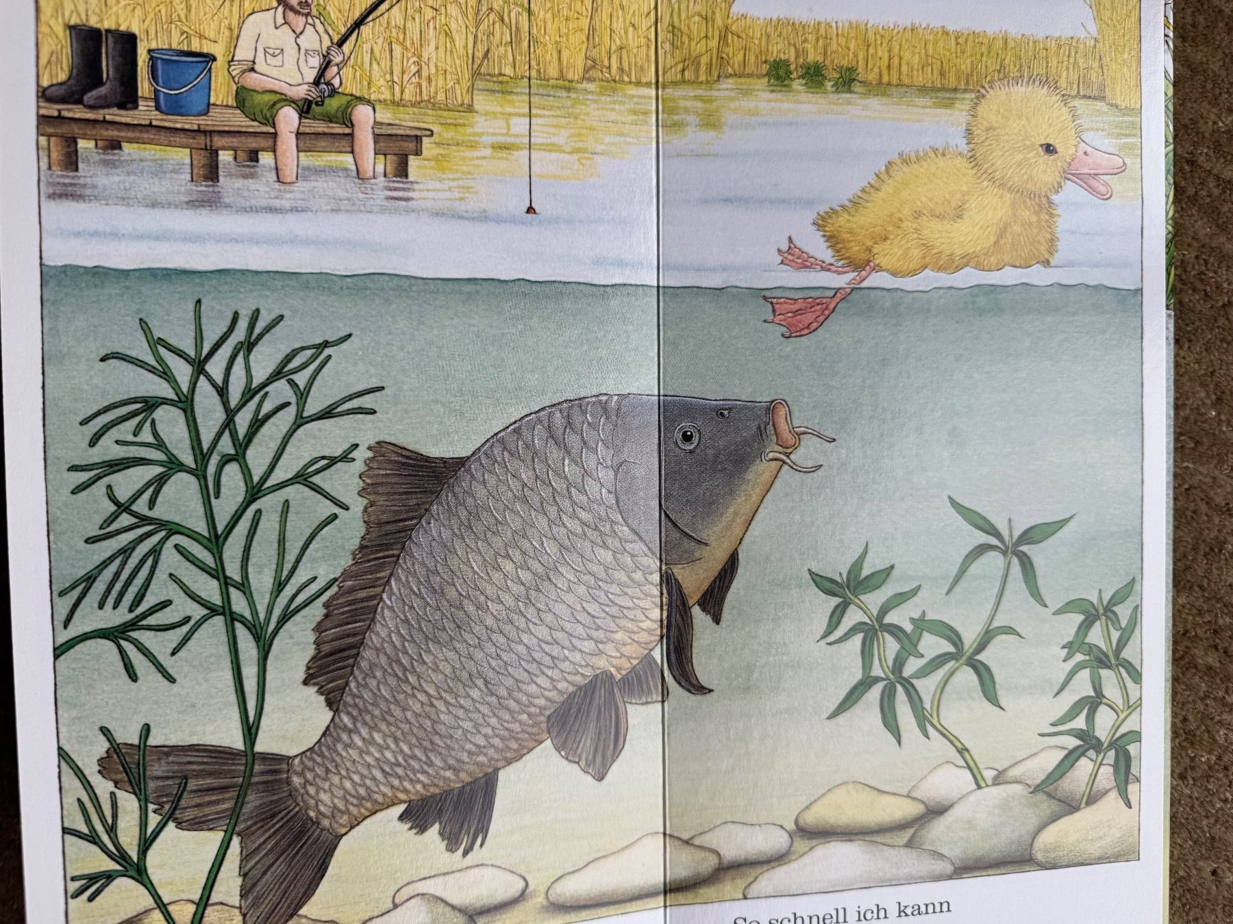 Libri: Ich bin die kleine Ente, Ravensburger – Nuovo (secondo la descrizione) da Aarau venduto da Kilauea 6