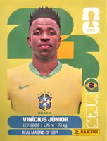Carte FIFA World Cup 2026 BRA 14