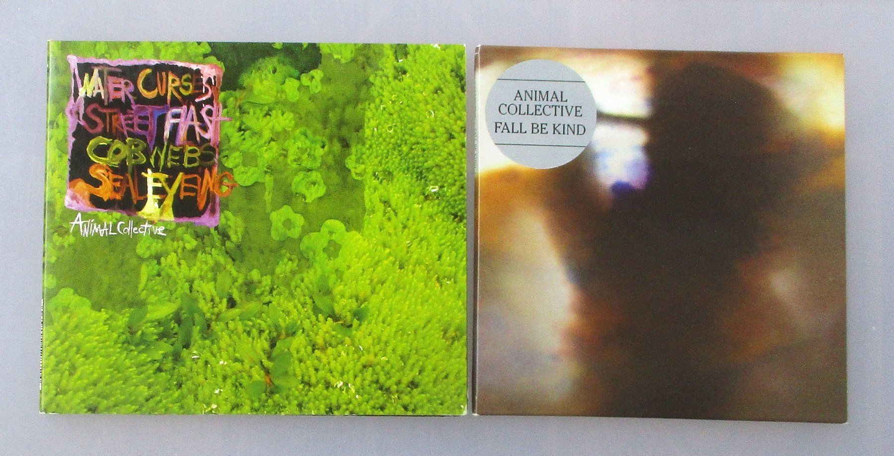 CDs: ANIMAL COLLECTIVE - Water Curses/Fall Be Kind – Gebraucht aus Wattwil von Muriel11