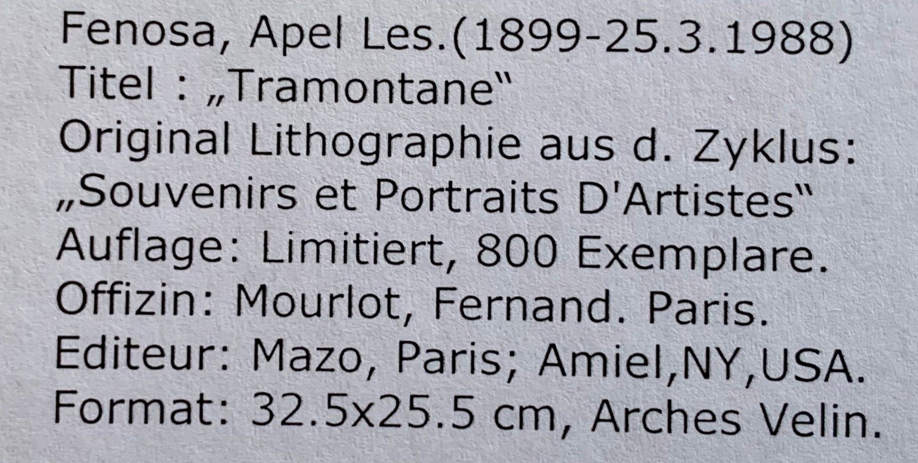 Grafica & Litografie: Apel·les Fenosa  " Tramontane " – Usato da Nennigkofen venduto da Sommersonnen 4