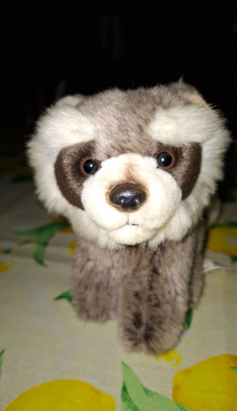 WWF Giocattoli: WWF Stofftier Waschbär – Usato da Plagne venduto da Reticulum01