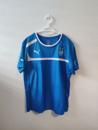 Grasshopper Club Zürich 2018/19 Trainingstrikot (M)