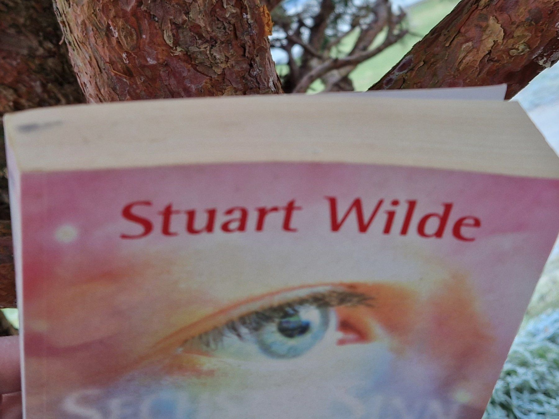 Bücher: Buch - Der sechste Sinn - Stuart Wilde – Gebraucht aus Siblingen von  4