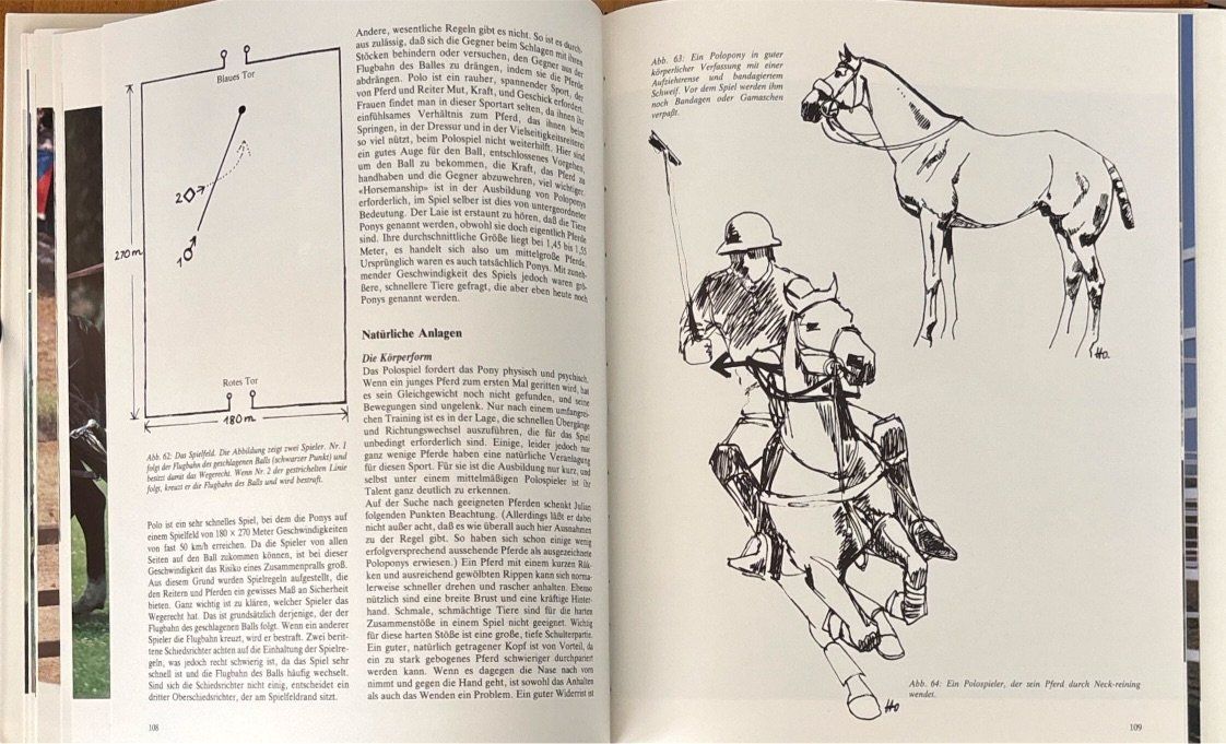 Libri: Pferdesport - Sportpferde – Nuovo (secondo la descrizione) da Sarnen venduto da Livres 9