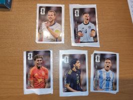 🔥5 Panini Coca Cola Sticker - CC01, CC02, CC08, CC10, CC11