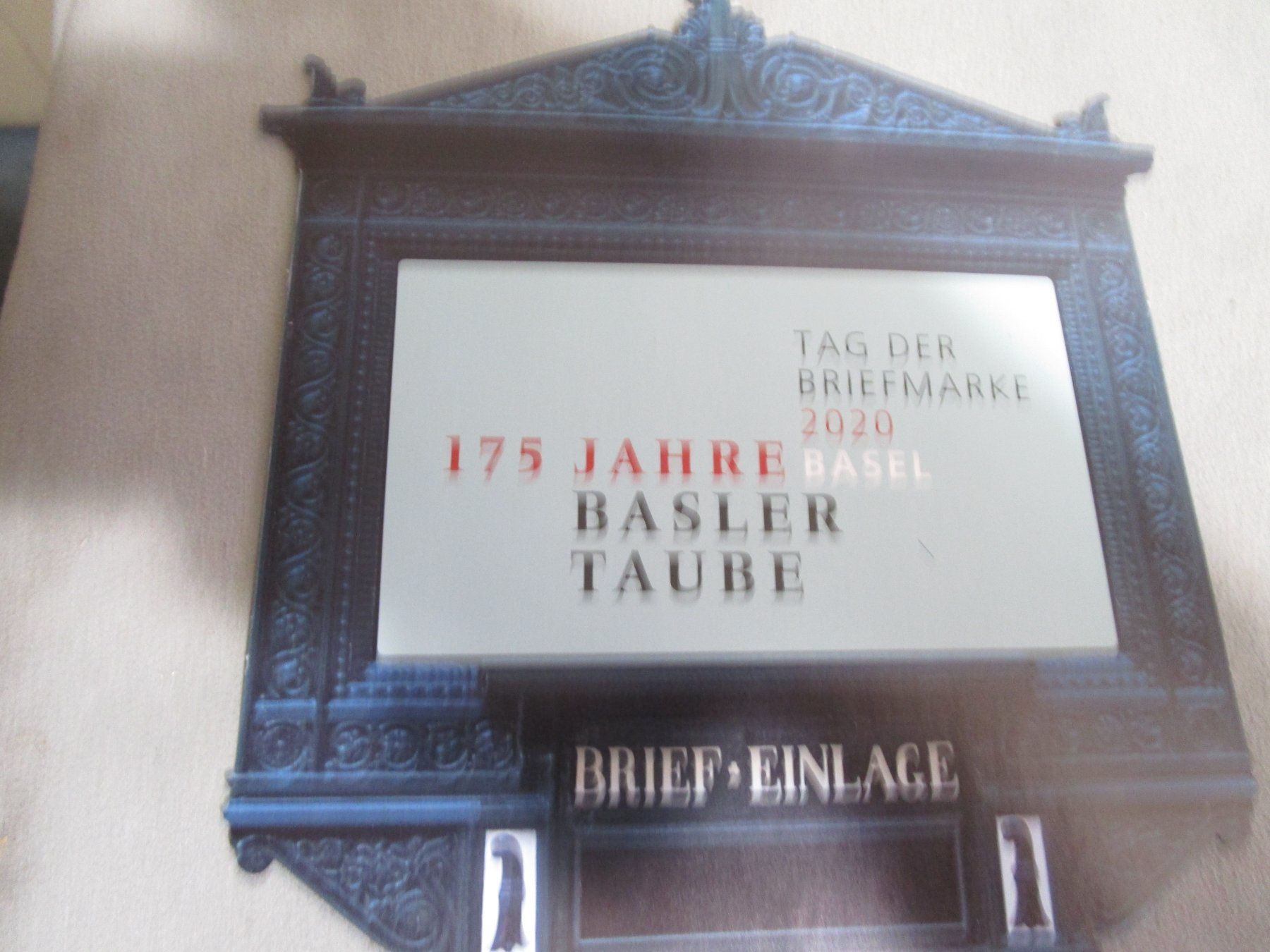 Libri: Fachbuch Basler Taube Historische Briefe  145 - 1852 – Nuovo e nell'imballaggio originale da Rupperswil venduto da Ema10 4
