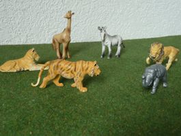 Wildtiere - Animaux sauvages