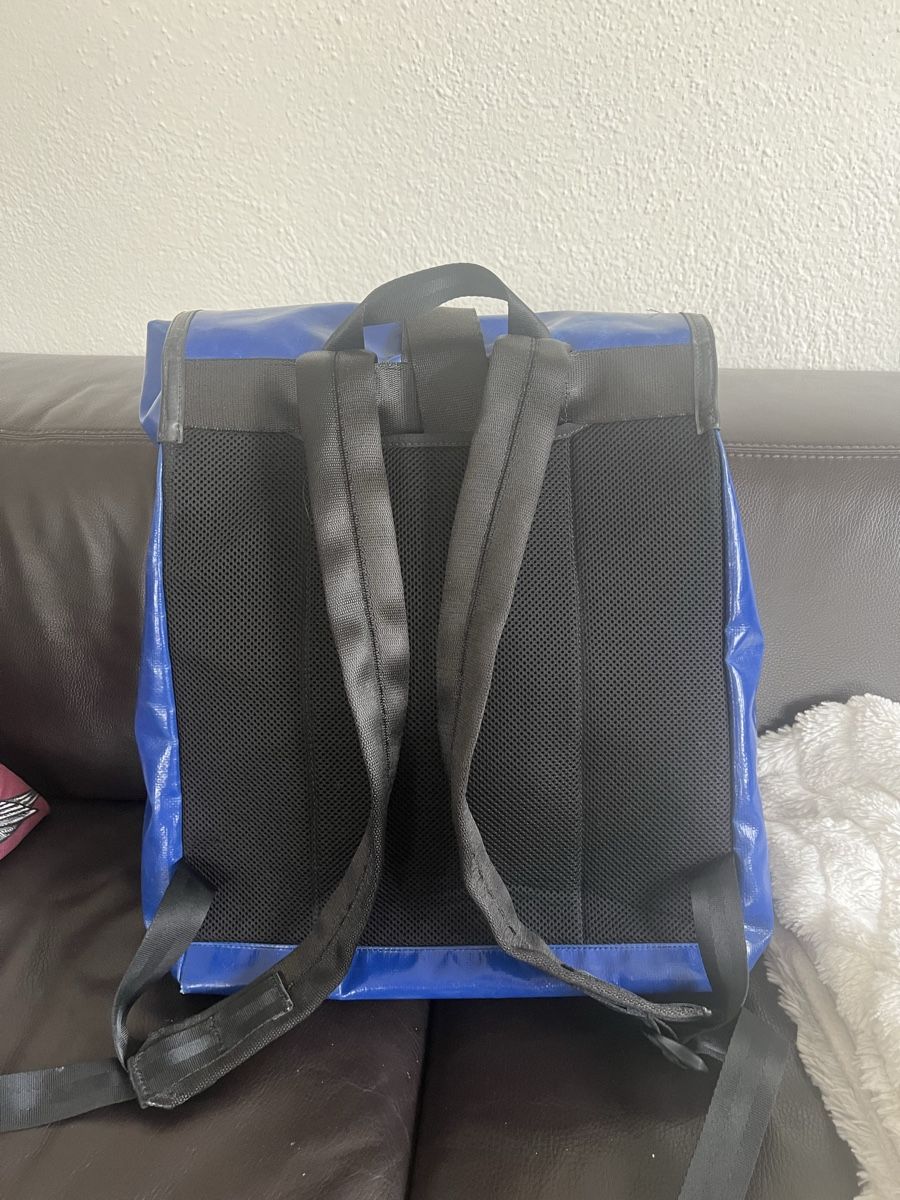 Freitag Zaini: Freitag F151 Viktor Rucksack – Usato da Lindau venduto da Caemi77 2