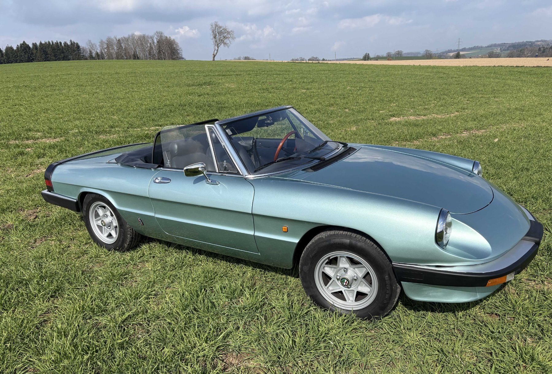 Alfa Romeo Automobili: Alfa Romeo Spider 2000 / 115 – Usato da Tafers venduto da Ichmir 1