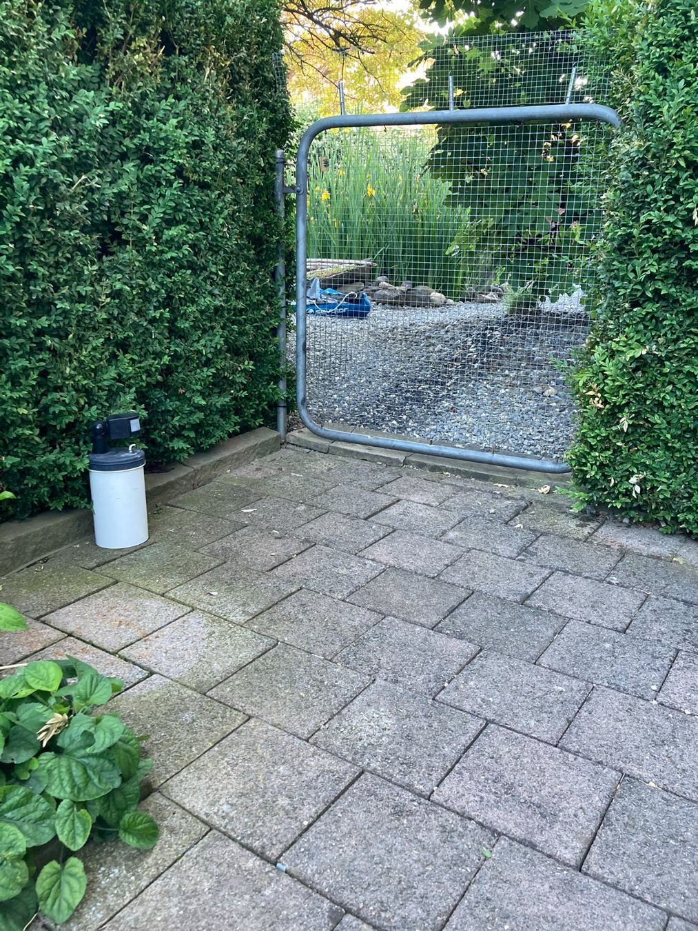 Sistemi d'allarme: Katzenschreck mit feinem Wasserstrahl – Nuovo (secondo la descrizione) da Wangen SZ venduto da B8855 1