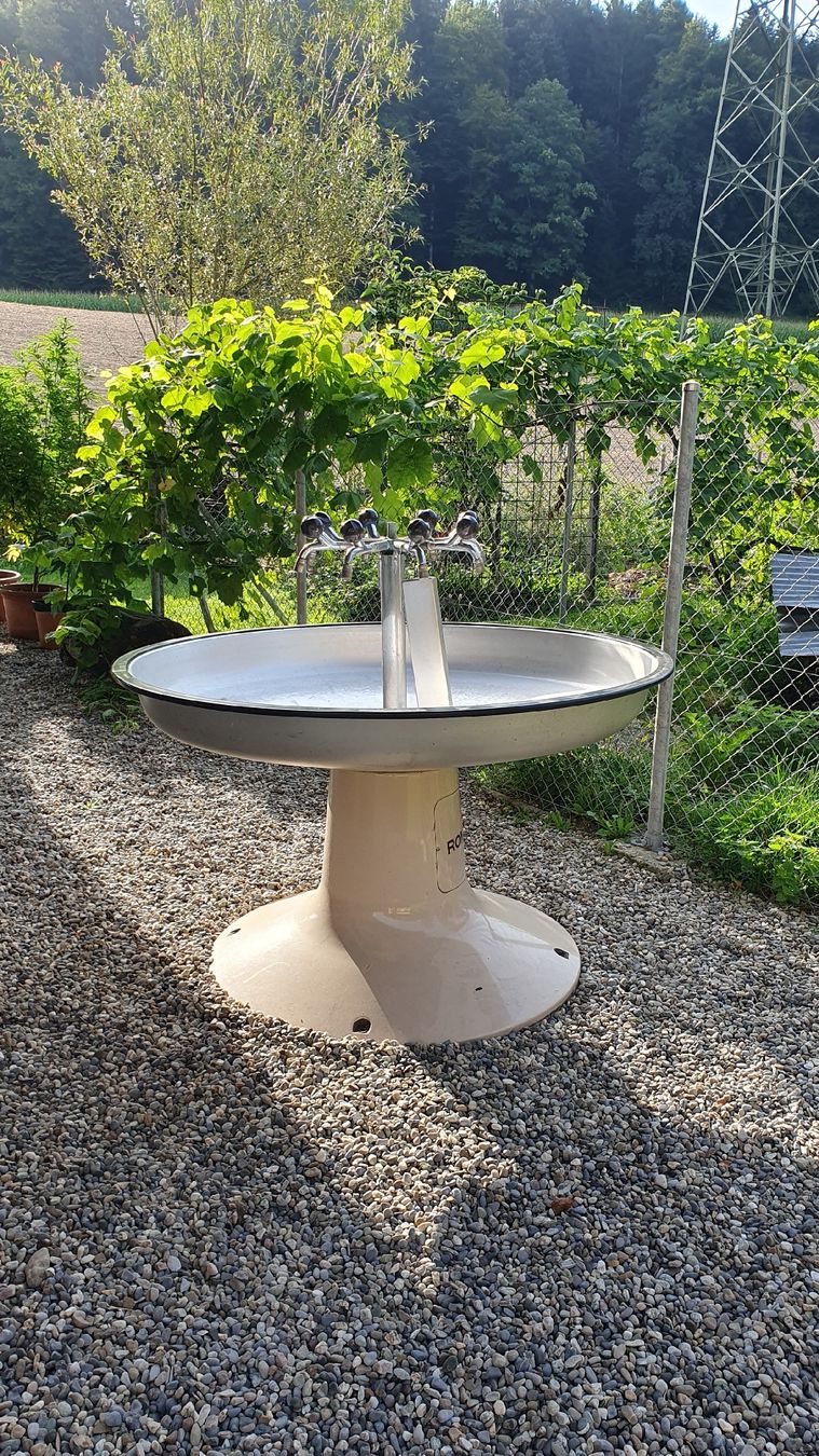 Stagni & Fontane ornamentali: Waschbecken ROMAY – Usato da Lützelflüh-Goldb venduto da oliden71 1