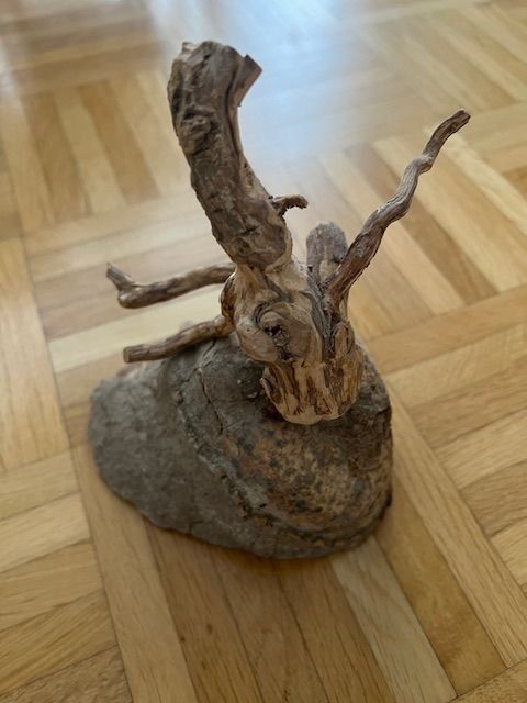 Articoli in legno: Holzwurzel - Figur – Nuovo (secondo la descrizione) da Walenstadt venduto da ricamul 5