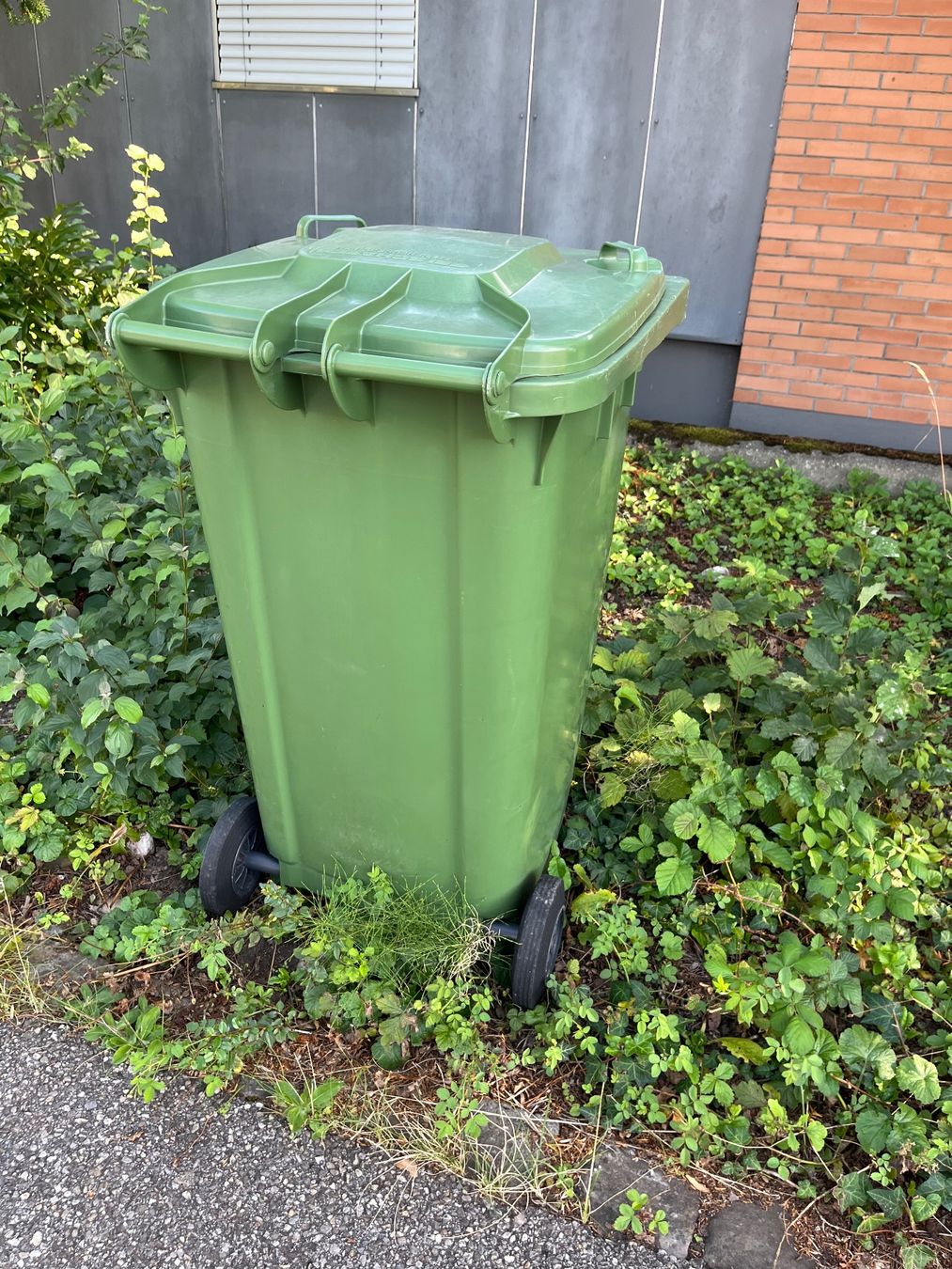 Altro per Ufficio & Commercio: Grüncontainer 240l – Usato da Lohn-Ammannsegg venduto da nad_nzl8 3