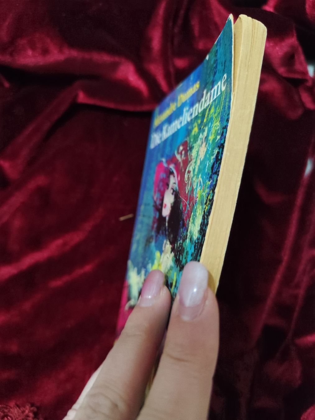 Bücher: Rare Alexandre Dumas "Die Kameliendame" Pocket Book! – Gebraucht aus Mägenwil von VintageGirly 2