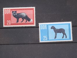 DDR 1963 Rauchwarenauktion **