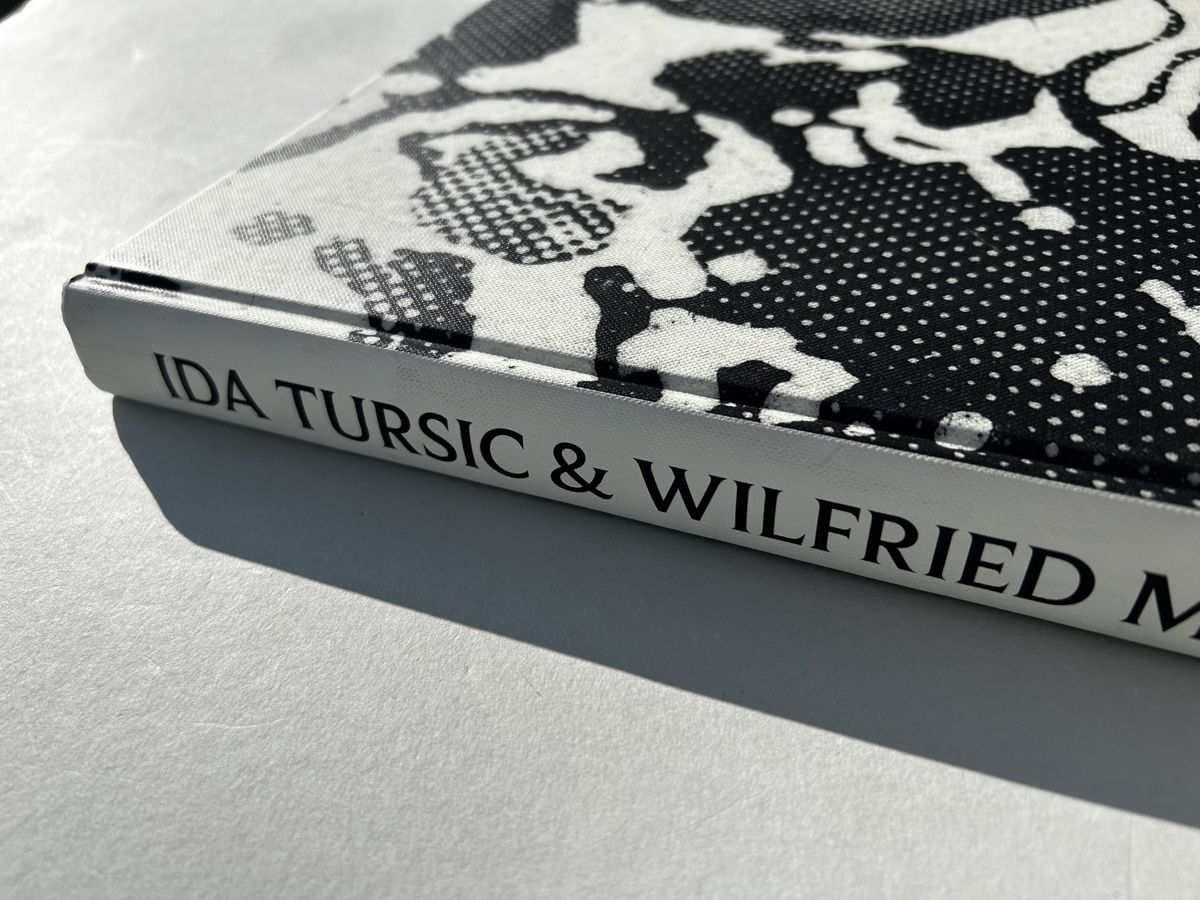 Libri: Fotobuch "Ida Tursic & Wilfried Mille"  Art – Usato da Zürich venduto da Coffeetable88 1